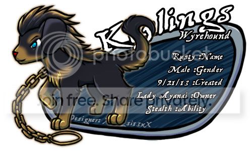 User Image